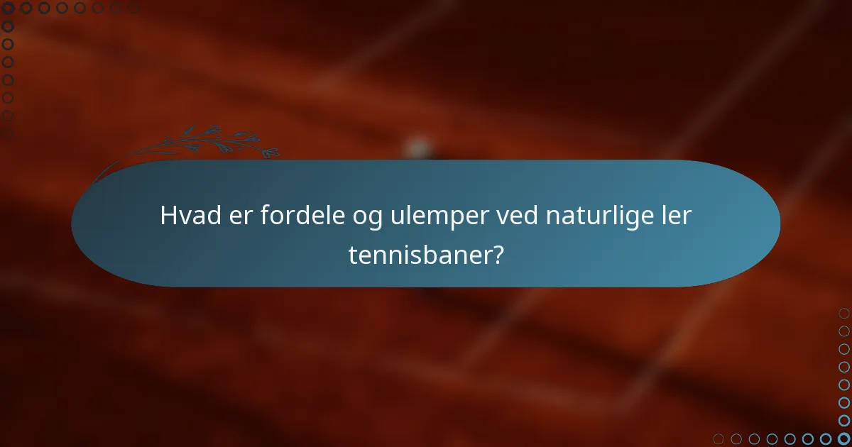 Hvad er fordele og ulemper ved naturlige ler tennisbaner?