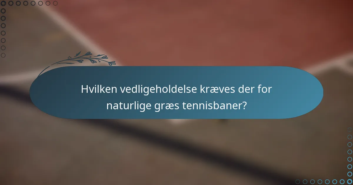 Hvilken vedligeholdelse kræves der for naturlige græs tennisbaner?